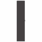 Casa si Gradina - Mobilier - Dulapuri si sifoniere - Dulapuri - Dulap de depozitare cu depozitare 2 pcs Negru 60 x 40 x 200 cm - Infinity.ro