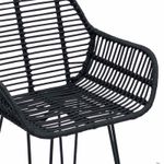 Casa si Gradina - Mobilier - Scaune si fotolii - Scaune - Scaun Bar 2 pcs Negru 55 x 52 x 92 cm Ratan si Fier - Infinity.ro