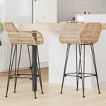 Casa si Gradina - Mobilier - Scaune si fotolii - Scaune - Scaun Bar 2 pcs natural 55 x 52 x 92 cm Ratan si Fier - Infinity.ro