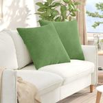 Casa si Gradina - Textile si covoare - Perne si pilote - Perne decorative - Perne pentru canapea 2 pcs Lysegrønn 80 x 80 cm - Infinity.ro