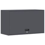 Casa si Gradina - Mobilier - Dulapuri si sifoniere - Dulapuri - Dulap de perete pentru garaj Antracit 90 x 40 x 53 cm - Infinity.ro