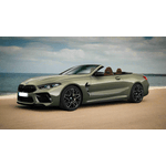 Auto si Moto - Intretinere auto - Covorase auto - Covorase Auto TeamCar® Tip Tavita Compatibile BMW Seria 8 G14 Cabriolet (2018–2025) - Infinity.ro