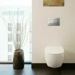 Casa si Gradina - Sanitare - Obiecte sanitare - Accesorii vase de toaleta - Clapeta de actionare Geberit Delta30 crom lucios - Infinity.ro