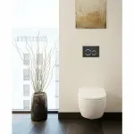 Casa si Gradina - Sanitare - Obiecte sanitare - Accesorii vase de toaleta - Clapeta de actionare Geberit Sigma21 sticla negru/crom lucios - Infinity.ro