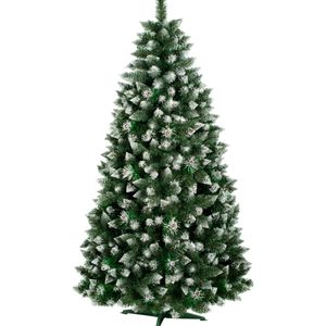 Casa si Gradina - Gradinarit si plante - Plante si ghivece - Infinity.ro