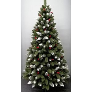 Casa si Gradina - Gradinarit si plante - Plante si ghivece - Infinity.ro