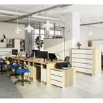 Casa si Gradina - Mobilier - Mese si birouri - Birouri - Birou ANA pentru calculator, cu 3 sertare si 1 usa, 124x52x74 cm, stejar sonoma si alb - Infinity.ro