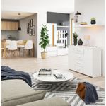Casa si Gradina - Mobilier - Comode si corpuri - Comode - Comoda cu 4 sertare si 2 usi, PAL laminat, 110x35x80 cm, alb mat - Infinity.ro