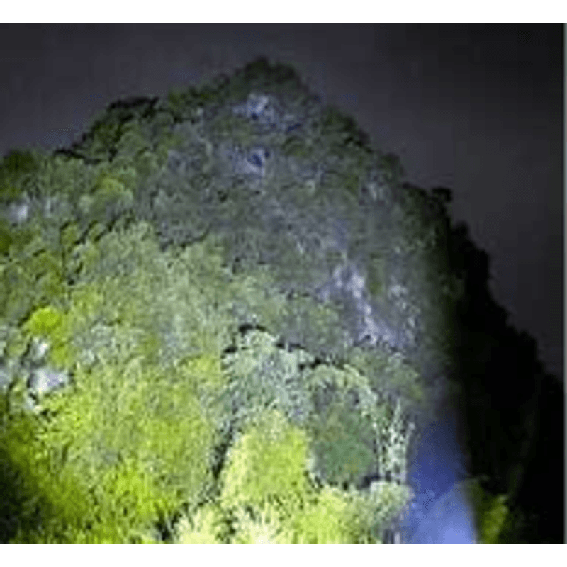 Casa si Gradina - Corpuri si surse de iluminat - Iluminat exterior - Lanterne - Lanterna frontala de cap BL A29 5 cu 2 acumulatori Li-ion 18650 incarcare USB 5 LED tip P50 - Infinity.ro