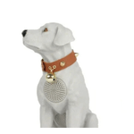 TV, Audio-Video si Foto - Portabile audio - Boxe portabile - Boxa portabila wireless cu bluetooth si microfon tip labrador CH M211M - Infinity.ro