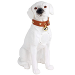 TV, Audio-Video si Foto - Portabile audio - Boxe portabile - Boxa portabila wireless cu bluetooth si microfon tip labrador CH M211M - Infinity.ro