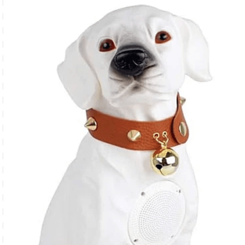 TV, Audio-Video si Foto - Portabile audio - Boxe portabile - Boxa portabila wireless cu bluetooth si microfon tip labrador CH M211M - Infinity.ro