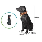 TV, Audio-Video si Foto - Portabile audio - Boxe portabile - Boxa portabila wireless cu bluetooth si microfon tip labrador CH M211M - Infinity.ro