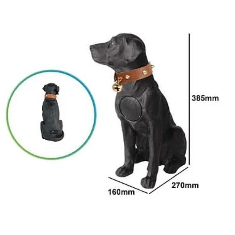 TV, Audio-Video si Foto - Portabile audio - Boxe portabile - Boxa portabila wireless cu bluetooth si microfon tip labrador CH M211M - Infinity.ro