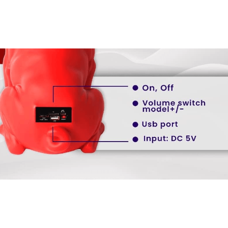 TV, Audio-Video si Foto - Portabile audio - Boxe portabile - Boxa Portabila Bulldog ROSU Cu Bluetooth CH M11M Cititor USB Card Radio si microfon - Infinity.ro