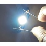 Auto si Moto - Electrice auto - Iluminare si semnalizare - Becuri auto - Set 2 Becuri Auto LED Canbus Interior 39 mm Alb - Infinity.ro