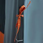 Sport si Outdoor - Camping - Corturi camping - Cort Interior de Familie Gri 520 x 520 x 190 cm - Infinity.ro