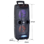 TV, Audio-Video si Foto - Portabile audio - Boxe portabile - Boxa wireless KTS 1743 cu microfon telecomanda 8 x 2 inch - Infinity.ro