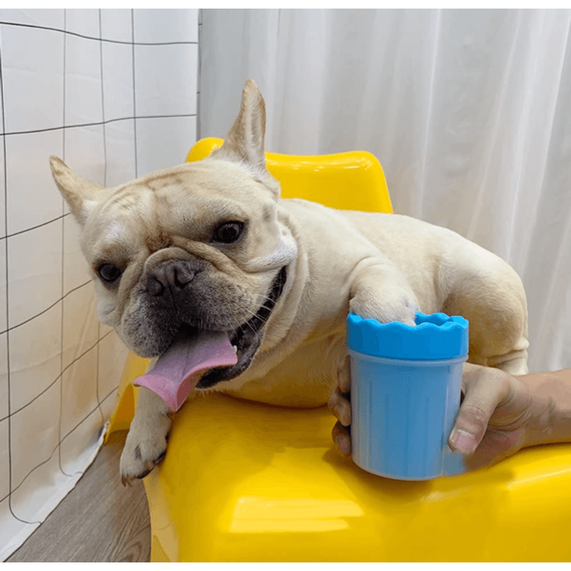 Petshop - Ingrijire si Igiena - Aparate de ingrijire - Alte aparate ingrijire animale - Pahar cu perii  MIC ALBASTRU pentru Curatarea si Dezinfectarea Labutelor Animalelor - Infinity.ro