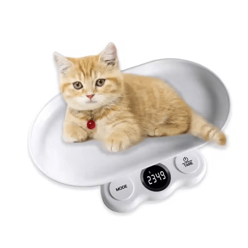 Petshop - Ingrijire si Igiena - Aparate de ingrijire - Alte aparate ingrijire animale - Mini cantar digital pentru bucatarie si pentru masurare hrana animale Q C220 - Infinity.ro