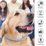 Petshop - Accesorii petshop - Zgarzi, lese si hamuri - Zgarzi - Zgarda anti purici si capuse pentru caini sau pisici de talie mica - Infinity.ro