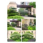 Casa si Gradina - Gradinarit si plante - Instalatii si accesorii pentru irigatii - Furtunuri de gradina si accesorii - Furtun Extensibil VERDE Creponat  45m MAGIC HOSE - Infinity.ro