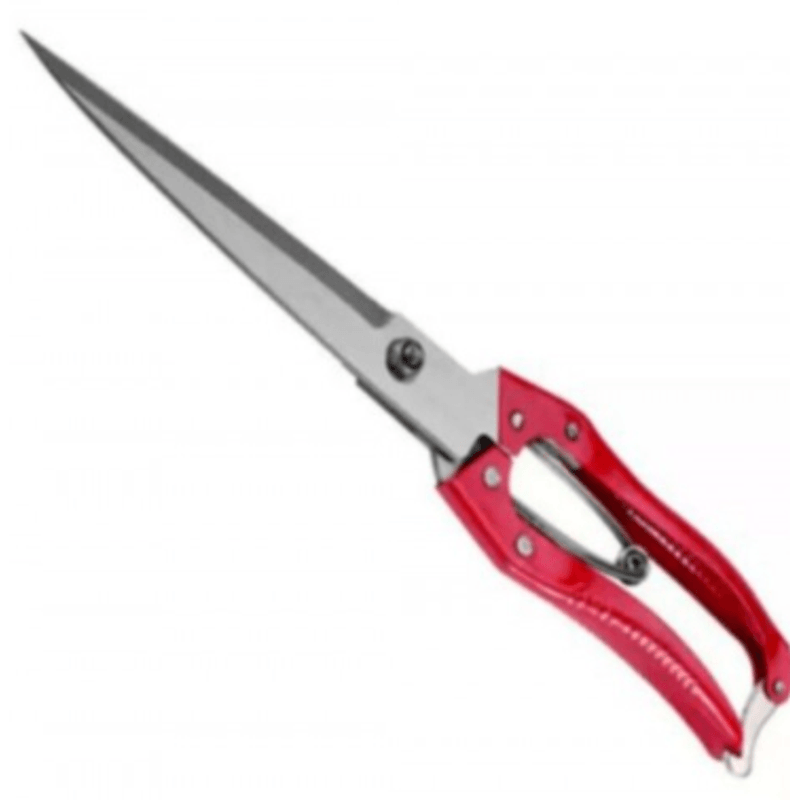 Petshop - Ingrijire si Igiena - Aparate de ingrijire - Aparate tuns animale - Foarfeca de tuns oi cu varf drept model HS02 - Infinity.ro