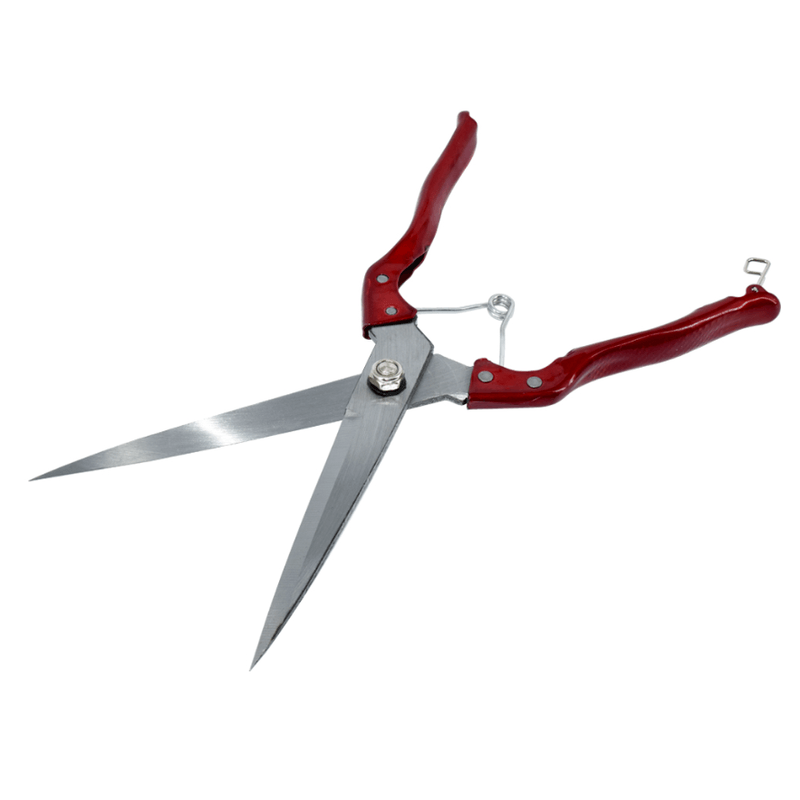 Petshop - Ingrijire si Igiena - Aparate de ingrijire - Aparate tuns animale - Foarfeca de tuns oi cu varf drept model HS02 - Infinity.ro