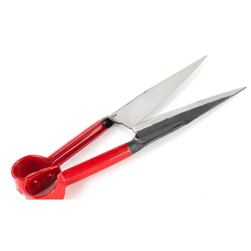 Petshop - Ingrijire si Igiena - Aparate de ingrijire - Aparate tuns animale - Foarfeca de tuns oi rosie mica MX318 - Infinity.ro