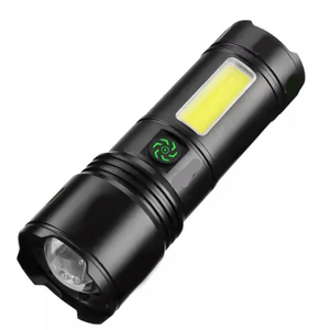 Casa si Gradina - Corpuri si surse de iluminat - Iluminat exterior - Infinity.ro