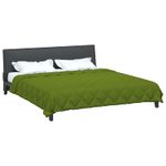 Casa si Gradina - Textile si covoare - Perne si pilote - Pilote - Duvet complet pe tot parcursul anului Verde 240 x 260 cm - Infinity.ro