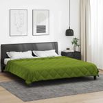 Casa si Gradina - Textile si covoare - Perne si pilote - Pilote - Pilota de vara Verde 240 x 200 cm Microfibra - Infinity.ro