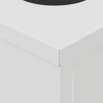 Casa si Gradina - Corpuri si surse de iluminat - Iluminat exterior - Felinare - Lumina LED Solara pentru Alei 2 pcs Alb Otel laminat la rece - Infinity.ro