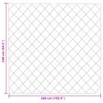 Casa si Gradina - Textile si covoare - Perne si pilote - Pilote - Pilota de vara Negru 240 x 260 cm Microfibra - Infinity.ro