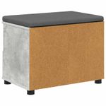 Casa si Gradina - Mobilier - Organizare si depozitare - Bancute - Banca pentru hol cu perna Gri din beton 60 x 38 x 46 cm - Infinity.ro
