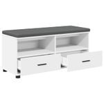 Casa si Gradina - Mobilier - Organizare si depozitare - Bancute - Banca pentru hol cu perna cu sertar Alb 100 x 38 x 46 cm - Infinity.ro