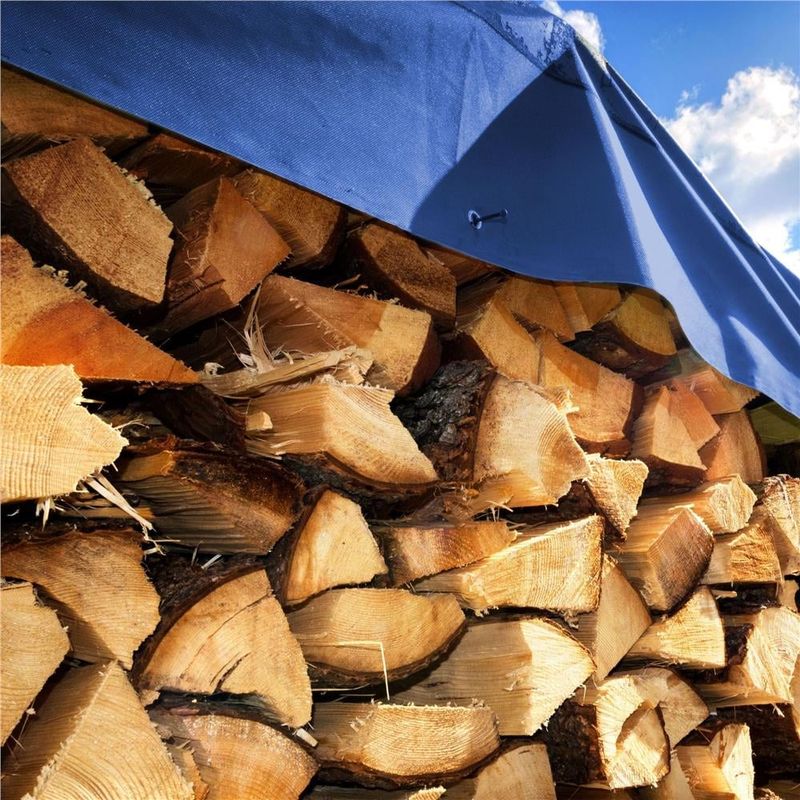 Casa si Gradina - Gradinarit si plante - Sere si solarii - Prelata din polietilena impermeabila laminata, 60g/m2, 6x8m, albastra - Infinity.ro