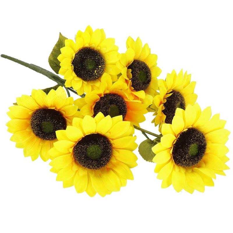 image-5f41c0c32fe147b7b4c2cd92f8298a82