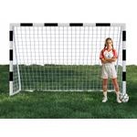 Petshop - Accesorii petshop - Jucarii animale - Jucarii educative - Poarta de fotbal din otel, 200x300 cm, profil 38mm, cu elemente de fixare - Infinity.ro