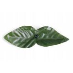 Casa si Gradina - Gradinarit si plante - Sere si solarii - Gard artificial decorativ 50x500 cm, frunze ornamentale, protectie UV si intemperii, plastic PVC, verde inchis - Infinity.ro