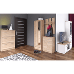 Casa si Gradina - Mobilier - Dulapuri si sifoniere - Dulapuri pantofi - Dulap pentru pantofi 3K, stejar Sonoma, TOPTY TIP 24 - Infinity.ro