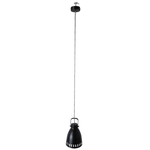 Casa si Gradina - Corpuri si surse de iluminat - Lustre si pendule - Lampa suspendata, neagra / metalica, AIDEN TIP 3 - Infinity.ro