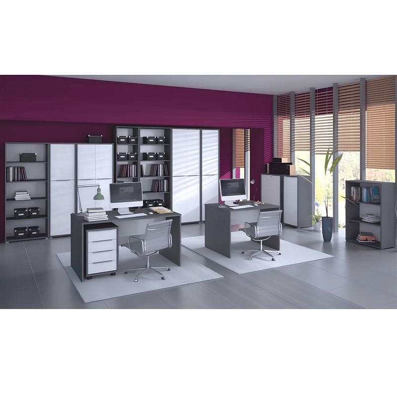 Casa si Gradina - Mobilier - Mese si birouri - Birouri - Masa de birou, grafit/alb, RIOMA NEW TYP 16 - Infinity.ro