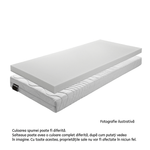 Casa si Gradina - Mobilier - Saltele si somiere - Saltele - Saltea, spuma, 90x170, BE ELISSE - Infinity.ro