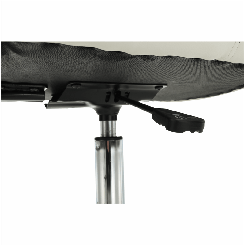 Casa si Gradina - Mobilier - Scaune si fotolii - Fotolii - Fotoliu de birou, negru/alb, IDOR NEW - Infinity.ro