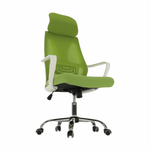 Casa si Gradina - Mobilier - Scaune si fotolii - Fotolii - Fotoliu de birou, verde/alb, TAXIS - Infinity.ro