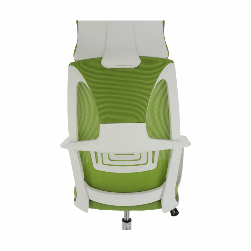 Casa si Gradina - Mobilier - Scaune si fotolii - Fotolii - Fotoliu de birou, verde/alb, TAXIS - Infinity.ro