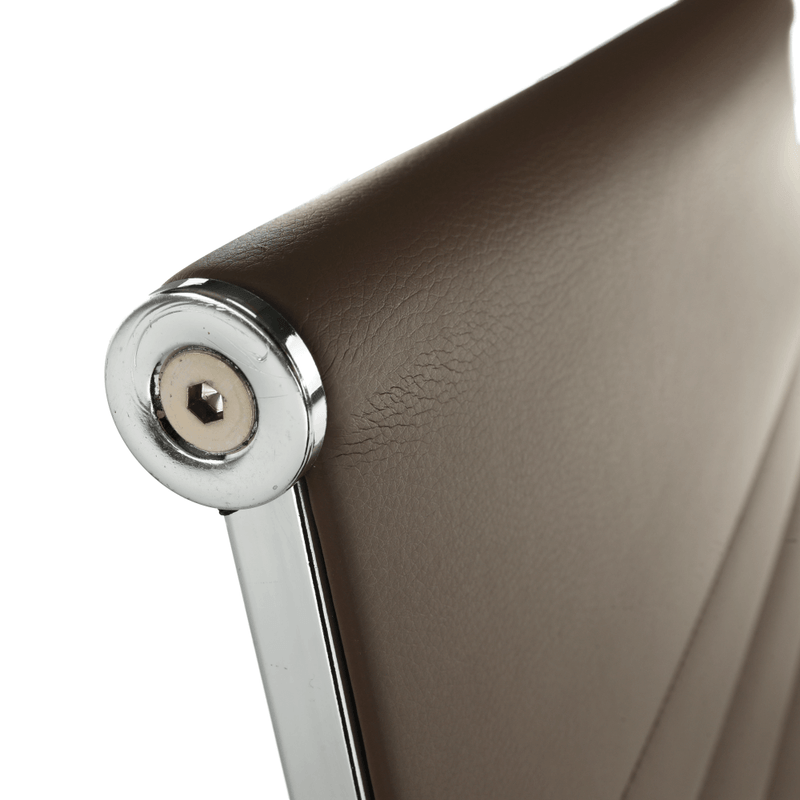 Casa si Gradina - Mobilier - Scaune si fotolii - Scaune - Scaun de birou, piele eco/metal, taupe/crom, FARAN - Infinity.ro