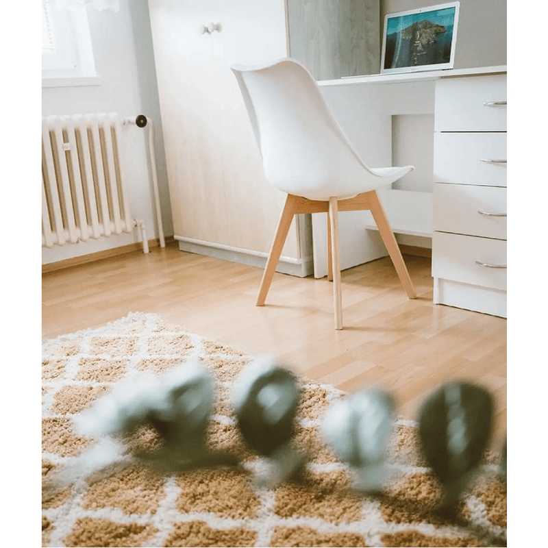 Casa si Gradina - Mobilier - Scaune si fotolii - Scaune - Scaun, alb/fag, BALI 2 NEW - Infinity.ro