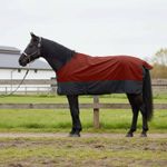 Sport si Outdoor - Accesorii si echipamente sportive - Echitatie - Patura pentru cai Verde inchis si negru 125 cm Poliester - Infinity.ro
